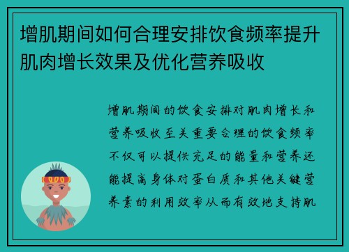 增肌期间如何合理安排饮食频率提升肌肉增长效果及优化营养吸收