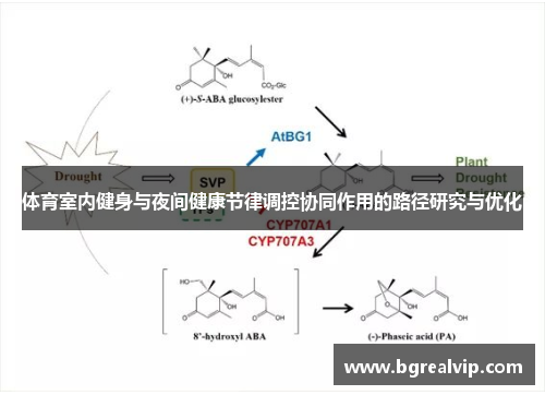 体育室内健身与夜间健康节律调控协同作用的路径研究与优化