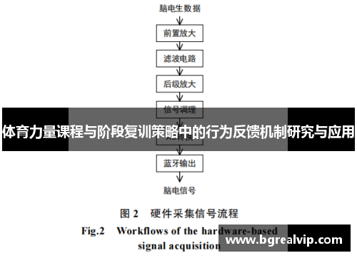 体育力量课程与阶段复训策略中的行为反馈机制研究与应用